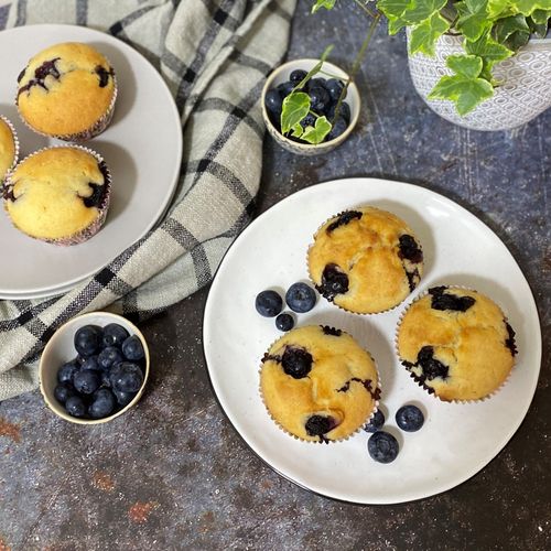 blueberry-muffins